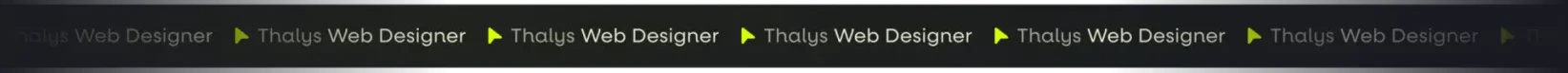 FITA-THALYS-WEB-DESIGNER (1)